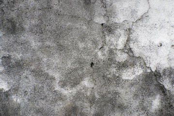 Gray aged grunge wall