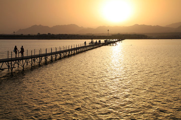 Fototapeta premium Sunset over Red Sea - Egypt