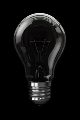 Light Bulb isolated on the black