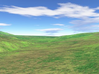 Obraz premium Graslandschaft