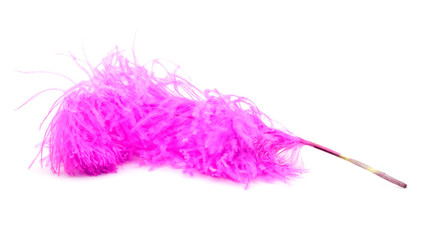 Bright pink ostrich's feather on a white background