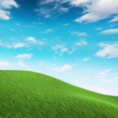 Fototapeta premium Grass on hilly meadow