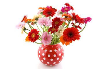 Colorful Gerber bouquet in spotted vase