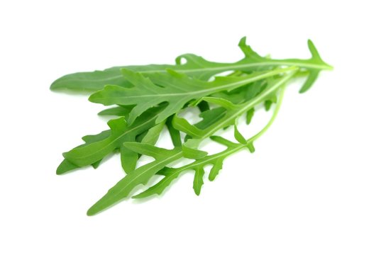 Rucolasalat