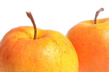 Two golden apples in close-up
