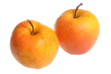 Two golden apples isolated on white background