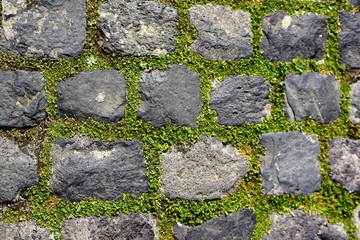 Background: stone, moss and grass