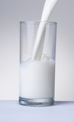 Milk