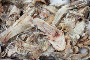 Frozen fish waste