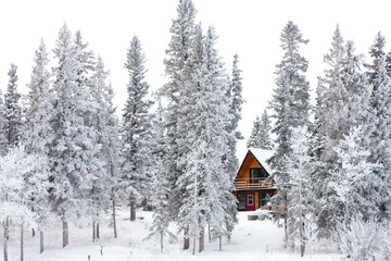 Christmas cottage in winter wonderland