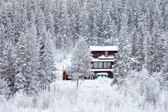 Cozy isolated home in winter forest
