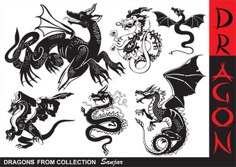 Asian Dragons Silhouette Collection - Tattoo Vector