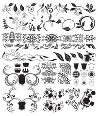 retro and floral details for design