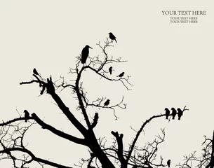 Foto auf Acrylglas Vögel am Baum Vektor-Blumen-Hintergrund