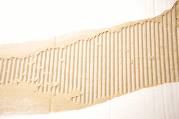 Corrugated cardboard