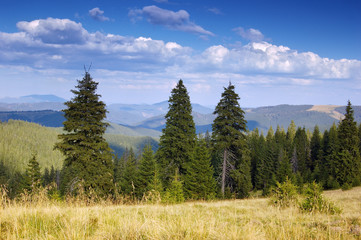 Summer mountain landscape