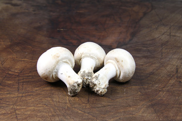 Champignons de Paris