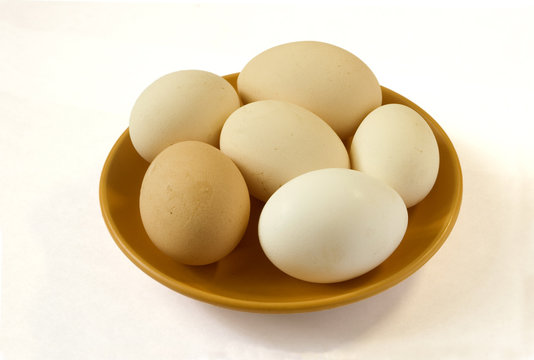 Foto of egg on a plate
