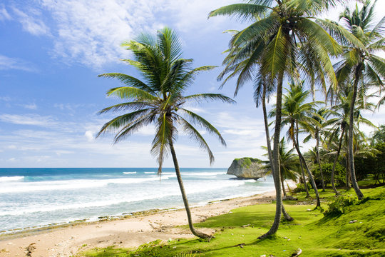 Bathsheba, East coast of Barbados, Caribbean