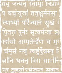the vector old dao paper