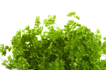 Fresh green parsley