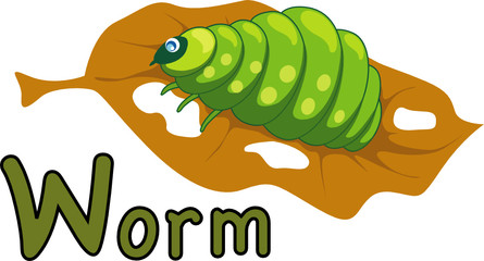 animal alphabet W for worm