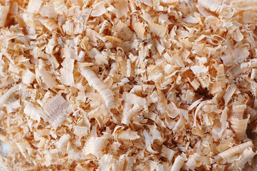 Wood Chips