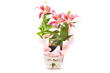 Lavish pink lilies arrangement traditional bouquet vase