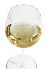 vino bianco