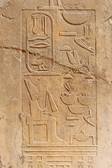 Fototapeta na wymiar Egypt scripts