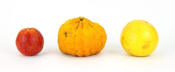 Group of blood orange, ugly fruit and grapefruit