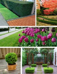 landscape design