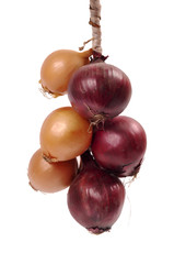 Bundle of onion bulbs isolated on white