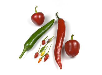 Hot chillies