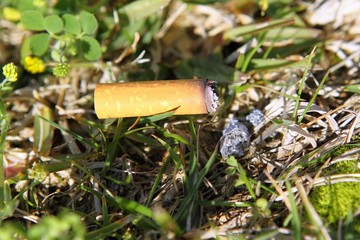 cigarette fire hazard on forest grass macro detail