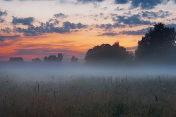 Sunset in the summer field