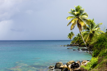 Fototapeta na wymiar Raki Bay, Grenada