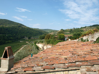 Old roof of the Tuscan villa amongst vineyards