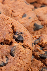 delicious homemade chocolate chip cookies