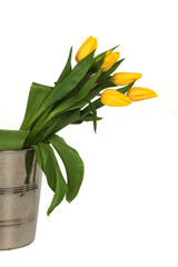 Yellow tulip bouquet isolated on white