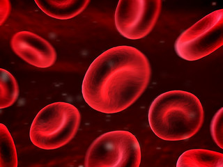 rote Blutk&ouml;rperchen