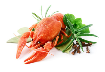 Crayfish and spices