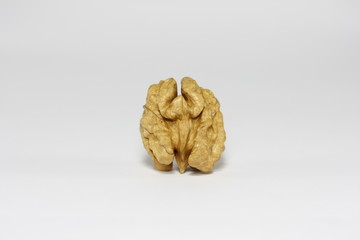 Shelled Walnut