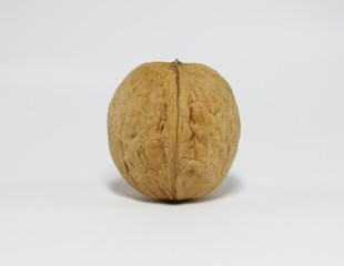 Walnut