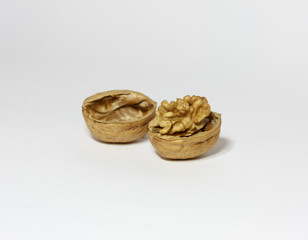 Half Shelled Walnut