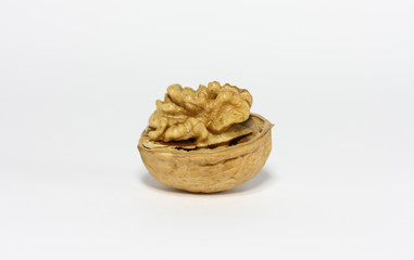 Half Shelled Walnut