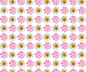 beautiful spring flower background