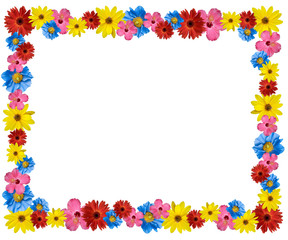 beautiful flower frame