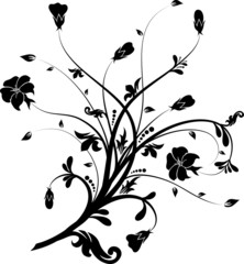 Floral elements for design, vector