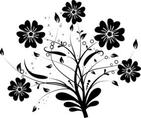 Floral elements for design, vector